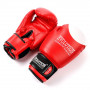 Boxerské rukavice Evolution Professional RB21 12 oz Red