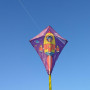 Létající drak MASTER 60 x 70 cm - raketa