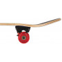 Skateboard NILS Extreme CR3108 SA Aztec