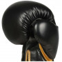 Boxerské rukavice DBX BUSHIDO B-2v10